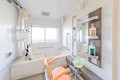 Accessible Bathing Solutions detail